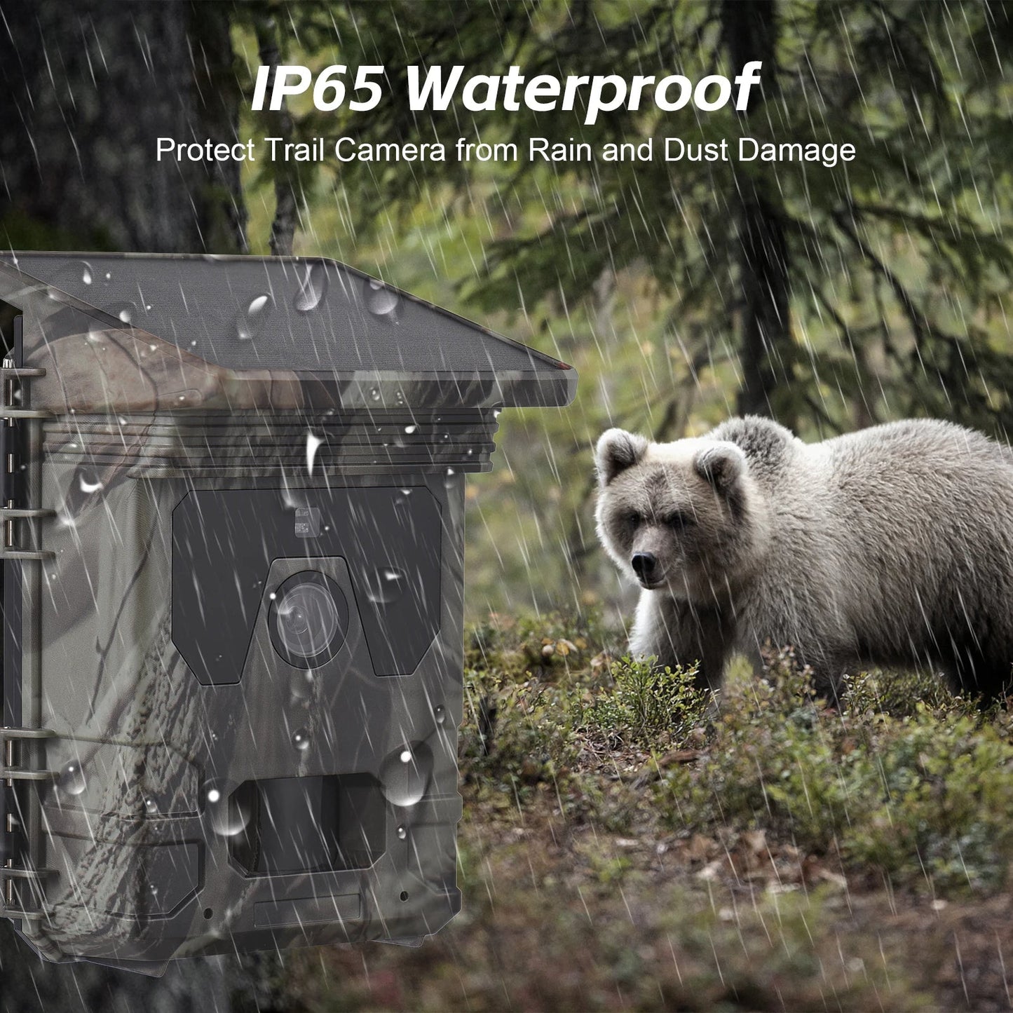 Solar Powered Night Vision Trail Camera – HD Wildlife Security Camera