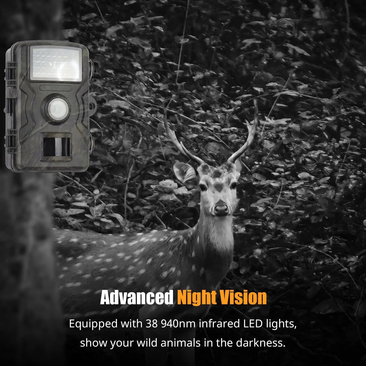 1080P Night Vision Trail Camera – HD Wildlife Outdoor Security Camera