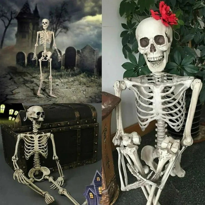 Poseable Halloween Skeleton Decoration – Creepy Full-Body Bone Prop Decor