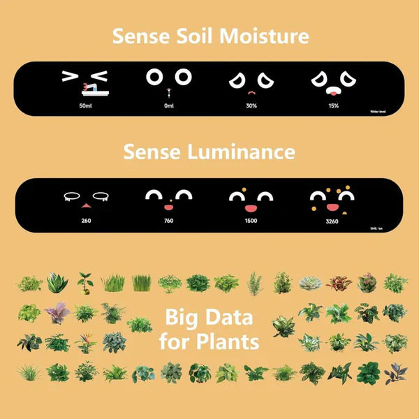 Smart Self-Watering Plant Pot – Innovative Ivy & Indoor Plant Care Planter
