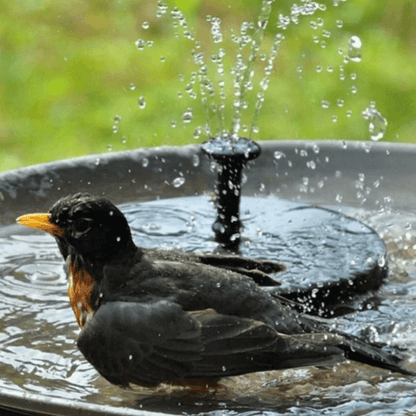 Solar LED Garden Fountain – Floating Solar Energy Water Feature Pond Pump