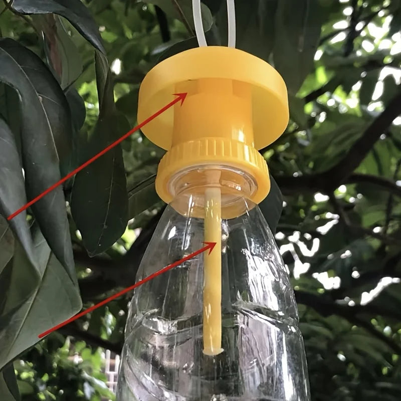 Fruit Fly Trap with Hanging Cover – Indoor Non-Toxic Sticky Fly Catcher Trap