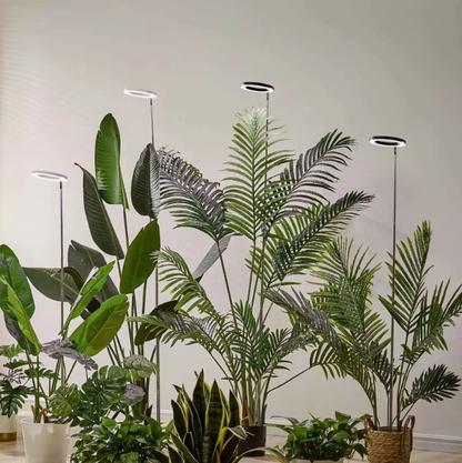 Full Spectrum Grow Light for Indoor Plants – LED Plant Growth Lamp