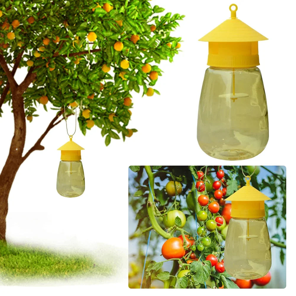 Hanging Fruit Fly Trap – Indoor Non-Toxic Sticky Gnat & Fly Catcher