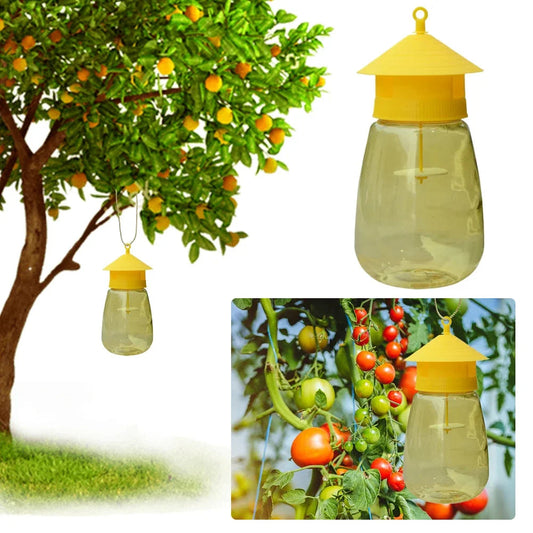 Hanging Fruit Fly Trap – Indoor Non-Toxic Sticky Gnat & Fly Catcher
