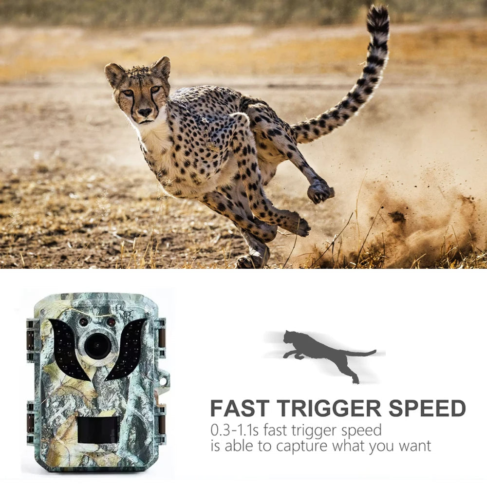 HD Infrared Night Vision Wildlife Camera – Compact Outdoor Trail Security Camera