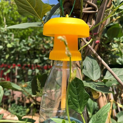 Fruit Fly Trap with Hanging Cover – Indoor Non-Toxic Sticky Fly Catcher Trap