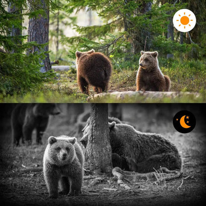 Advanced HD Night Vision Trail Camera – Long-Range Wildlife Monitoring Camera