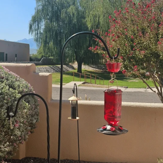 24oz Leak-Proof Glass Hummingbird Feeder – Outdoor Wild Bird Feeding Station