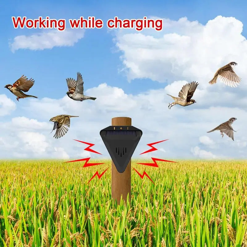 Solar Powered Outdoor Bird Repeller – Garden Pest Deterrent Spike