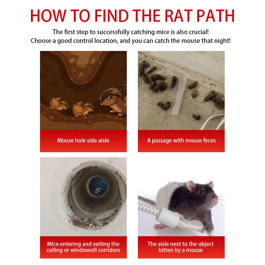 Reusable Sliding Door Mouse Trap Cage – Humane Catch & Release Rodent Trap