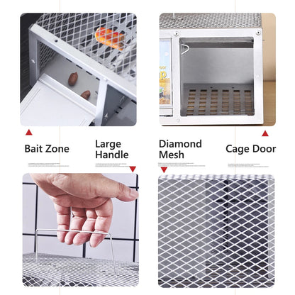 Single-Door Reusable Metal Mouse Trap Cage – Humane Live Catch Rodent Trap