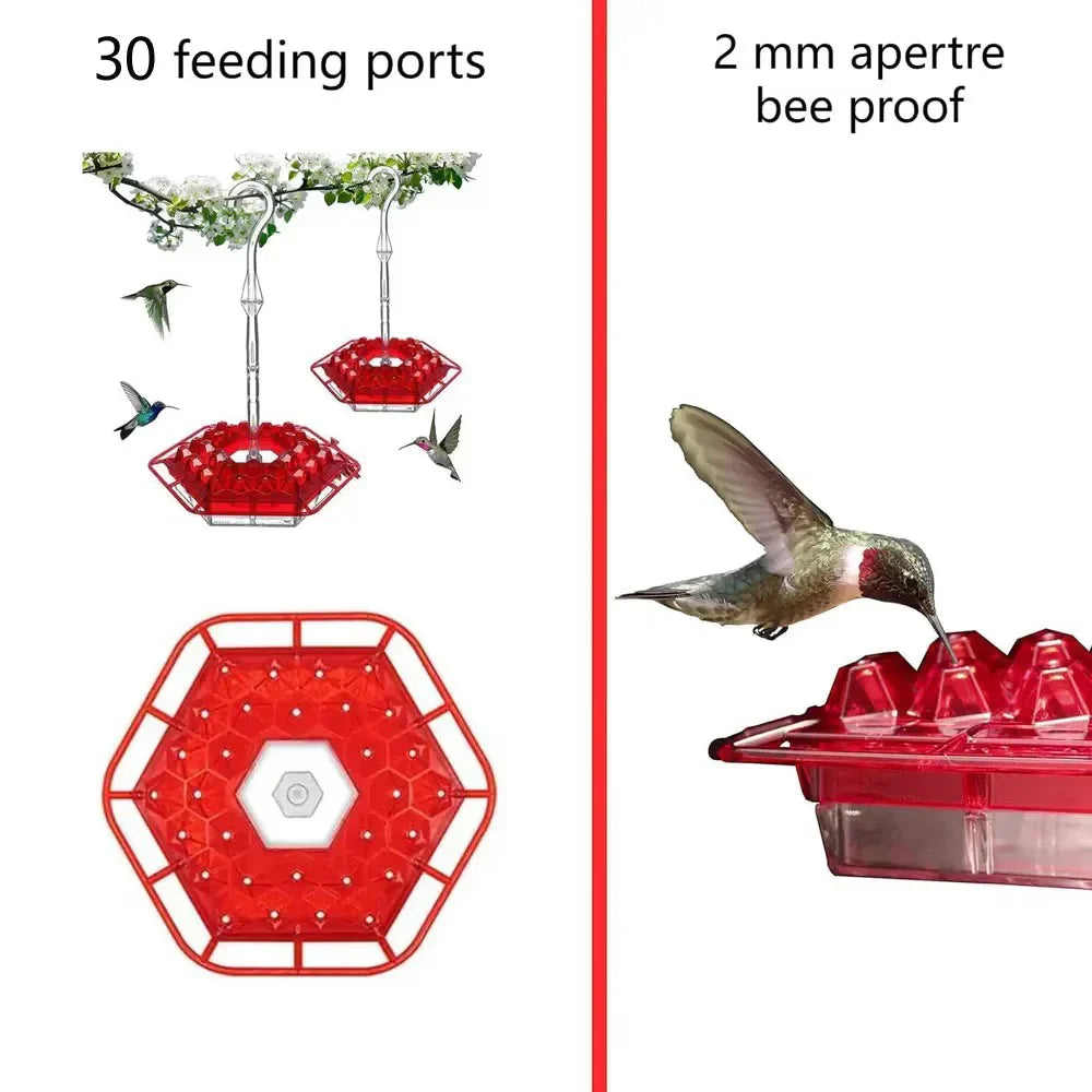 Ant-Proof Hummingbird Feeder with Hanging Perch – Outdoor Bird Feeder
