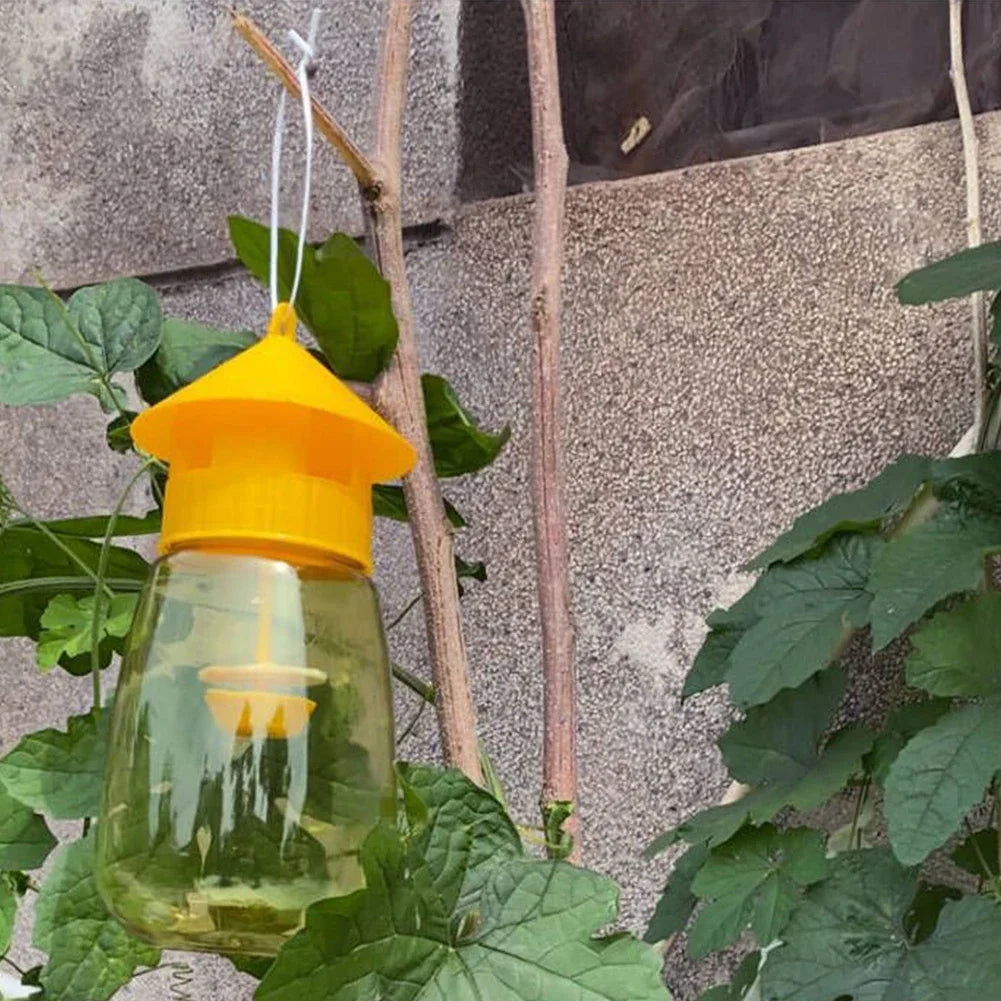 Hanging Fruit Fly Trap – Indoor Non-Toxic Sticky Gnat & Fly Catcher