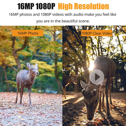1080P Night Vision Trail Camera – HD Wildlife Outdoor Security Camera
