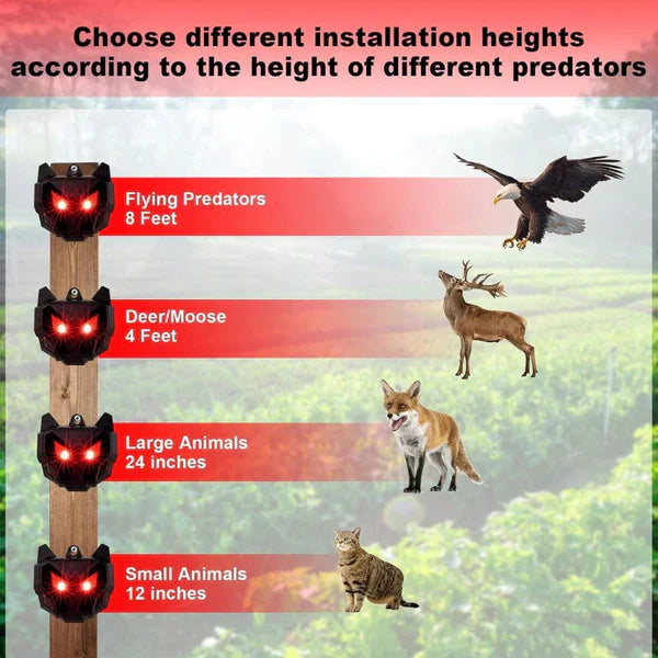 Solar Powered Nocturnal Animal Repeller – Pack of 2 Outdoor Pest Deterrent
