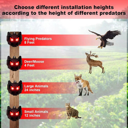 Solar Powered Nocturnal Animal Repeller – Pack of 2 Outdoor Pest Deterrent