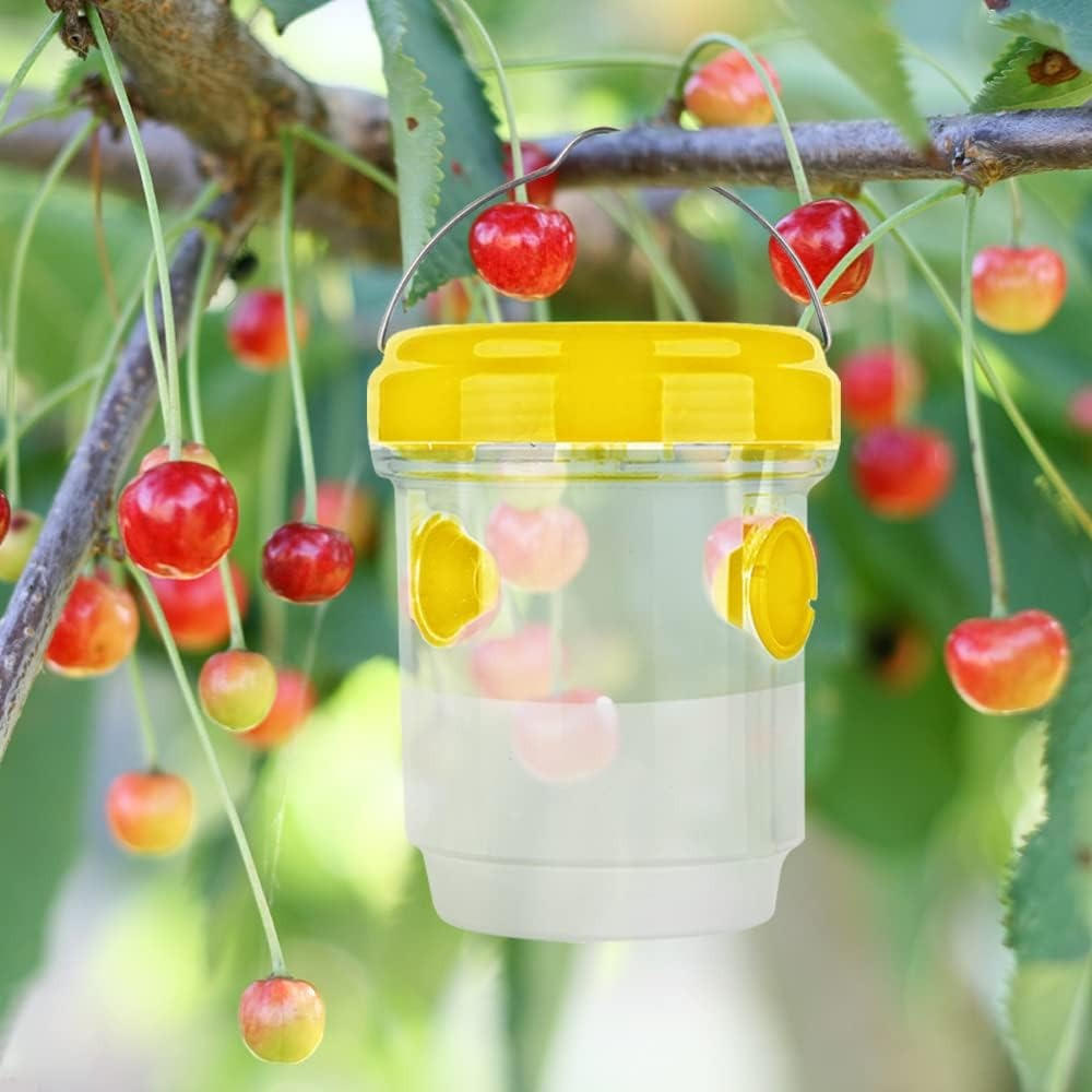 Insect & Fruit Fly Trap – Indoor Sticky Fly Catcher & Gnat Killer