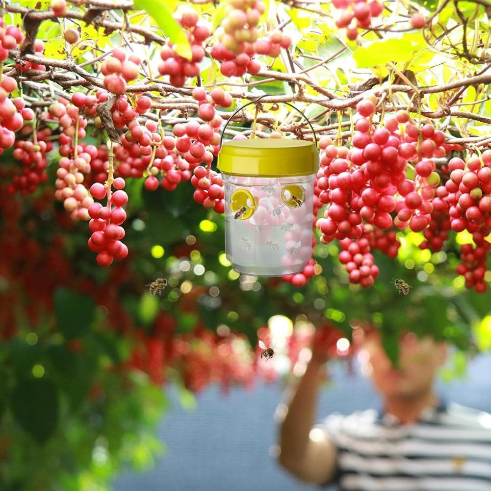 Insect & Fruit Fly Trap – Indoor Sticky Fly Catcher & Gnat Killer