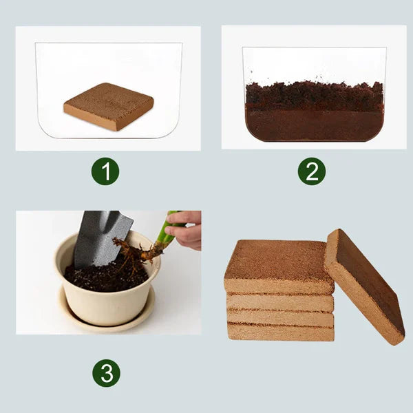 Organic Coconut Coir Potting Mix – Natural Plant Growing Medium for Garden