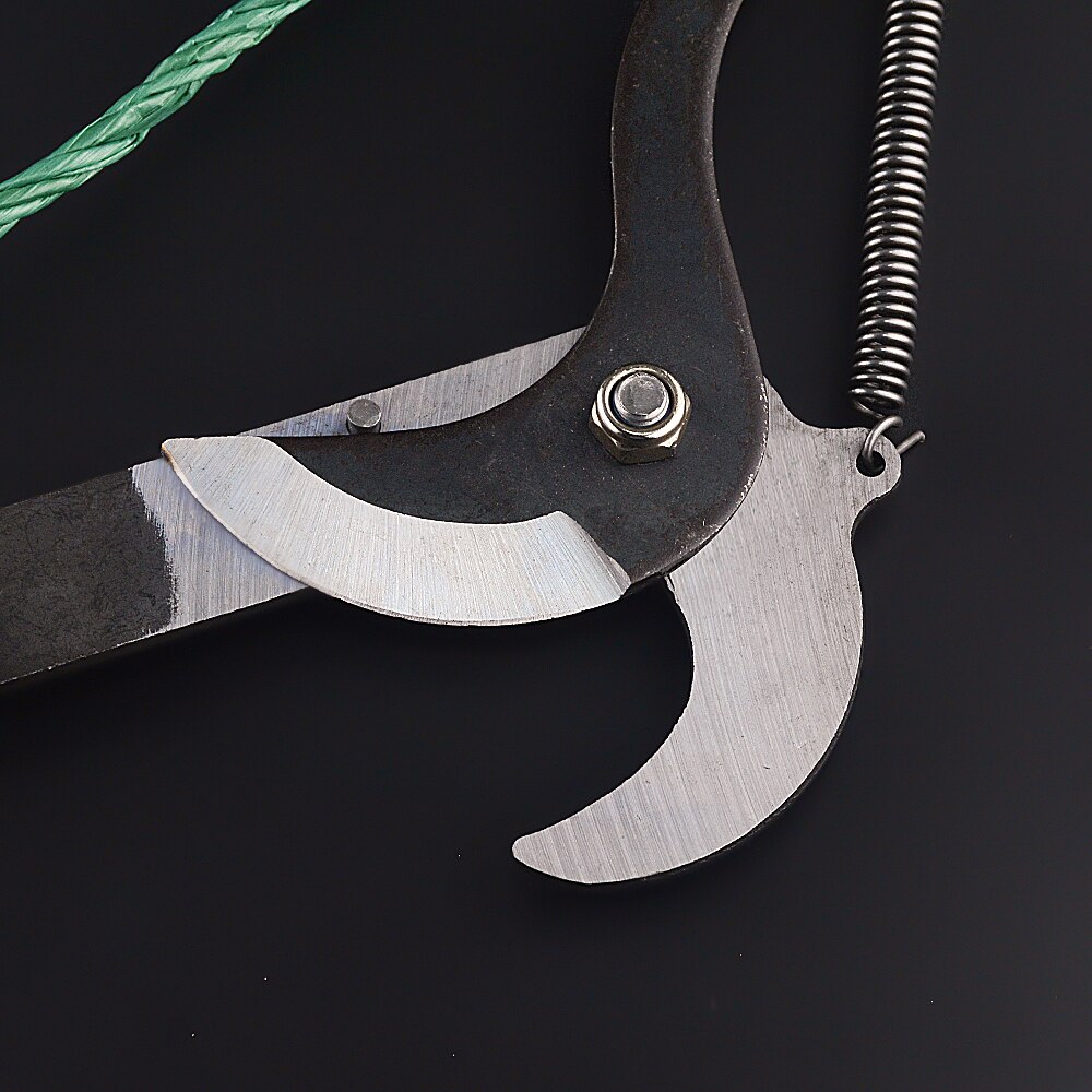 High-Altitude Extension Pruning Shears – Long-Reach Telescopic Tree Pruner