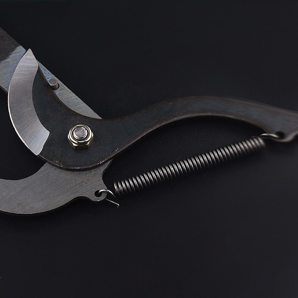 High-Altitude Extension Pruning Shears – Long-Reach Telescopic Tree Pruner