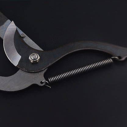 High-Altitude Extension Pruning Shears – Long-Reach Telescopic Tree Pruner