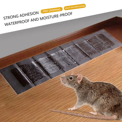 Extra-Large Sticky Glue Pads for Mice & Rats – 5-Pack Pest Control Traps