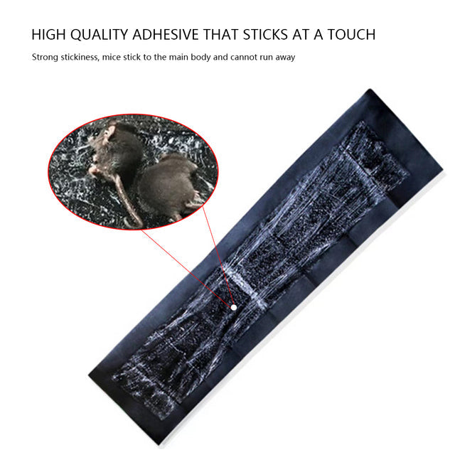 Extra-Large Sticky Glue Pads for Mice & Rats – 5-Pack Pest Control Traps