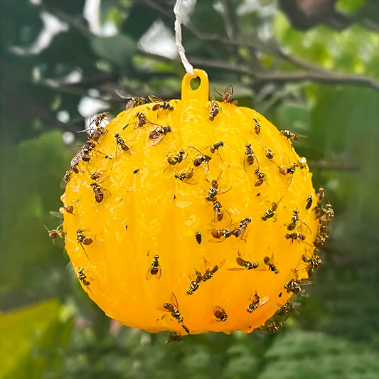 Hanging Sticky Fly Trap with Adhesive Layer – 6-Pack Outdoor Fly Catcher