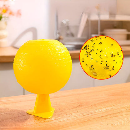 Hanging Sticky Fly Trap with Adhesive Layer – 6-Pack Outdoor Fly Catcher