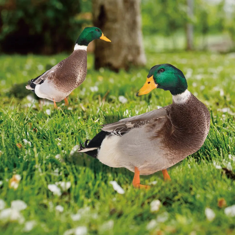 Decorative Garden Duck Ornament – Cute Outdoor Resin Garden Statue