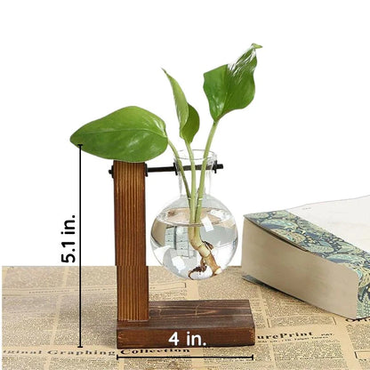 Wooden Frame Hydroponic Plant Vase – Indoor Propagation Planter for Cuttings