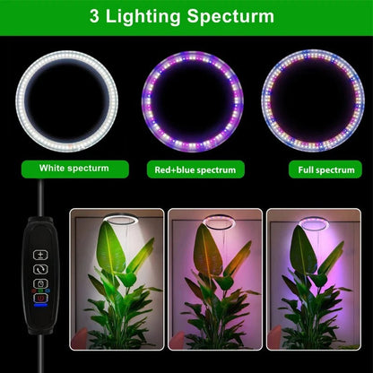Full Spectrum Grow Light for Indoor Plants – LED Plant Growth Lamp