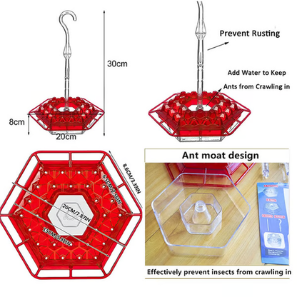 Hummingbird Feeder with Built-In Ant Moat – Outdoor Garden Bird Feeder