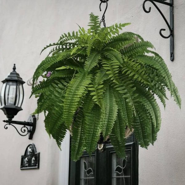 UV-Resistant Artificial Boston Fern – Realistic Fake Indoor/Outdoor Fern Plant