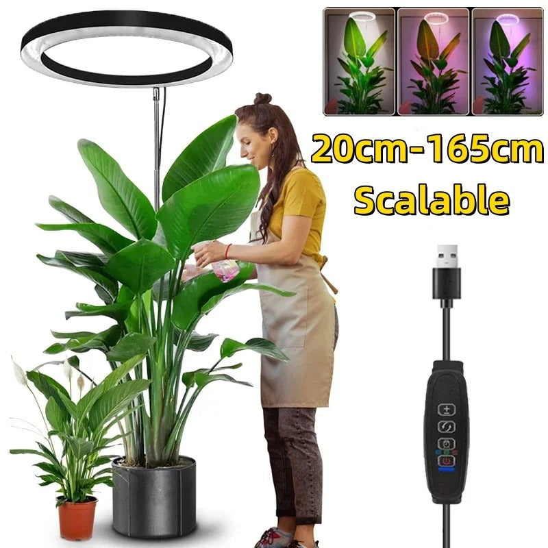 Full Spectrum Grow Light for Indoor Plants – LED Plant Growth Lamp