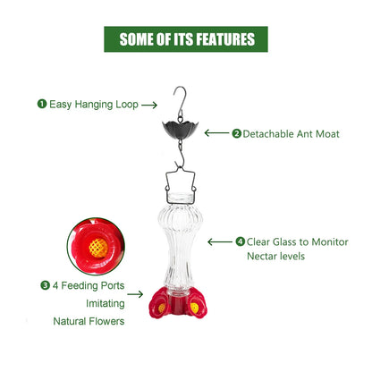 Glass Hummingbird Feeder with Ant Moat – Flower-Shaped Outdoor Bird Feeder