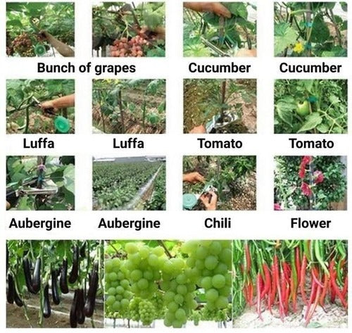 Plant Support Straps – Adjustable Garden Plant Ties & Binders