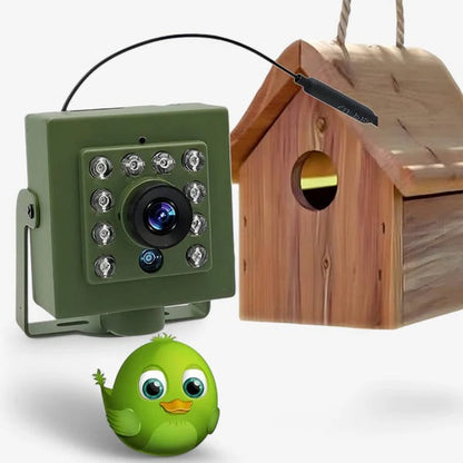 HD WiFi Bird Nest Camera – Live Feed Outdoor Wildlife Monitoring Camera