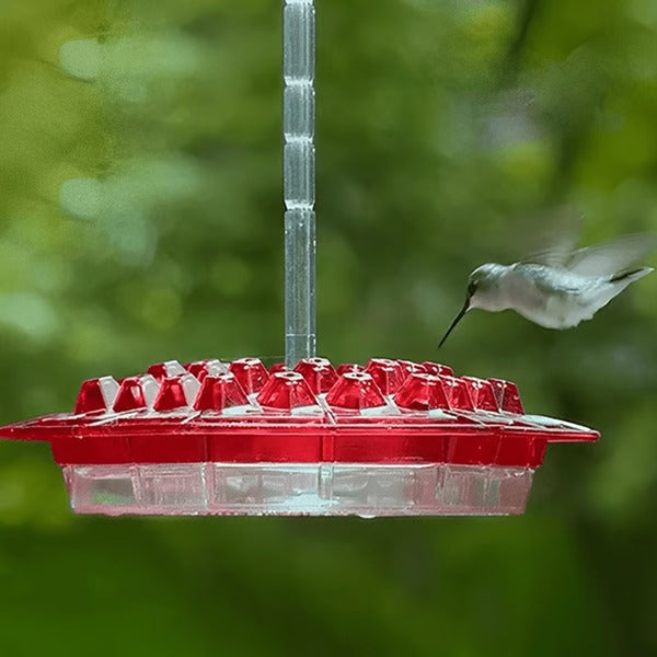 Hummingbird Feeder with Built-In Ant Moat – Outdoor Garden Bird Feeder