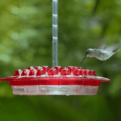 Hummingbird Feeder with Built-In Ant Moat – Outdoor Garden Bird Feeder