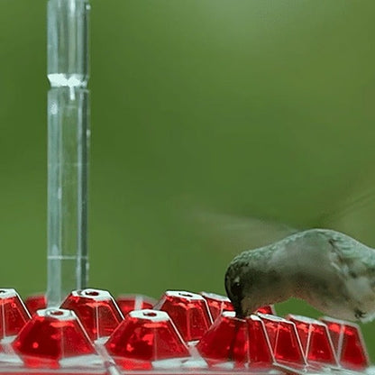 Hummingbird Feeder with Built-In Ant Moat – Outdoor Garden Bird Feeder