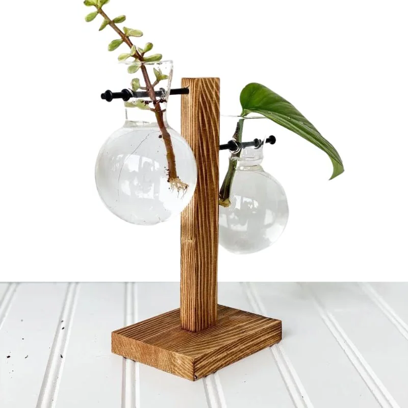 Wooden Frame Hydroponic Plant Vase – Indoor Propagation Planter for Cuttings