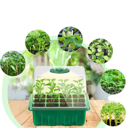 Plant Seed Starter Tray with Grow Light – Indoor Nursery Pot Germination Kit