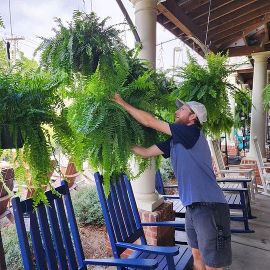UV-Resistant Artificial Boston Fern – Realistic Outdoor Faux Plant Decor