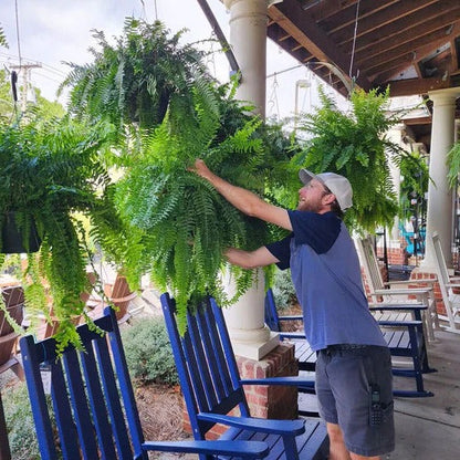 UV-Resistant Artificial Boston Fern – Realistic Outdoor Faux Plant Decor