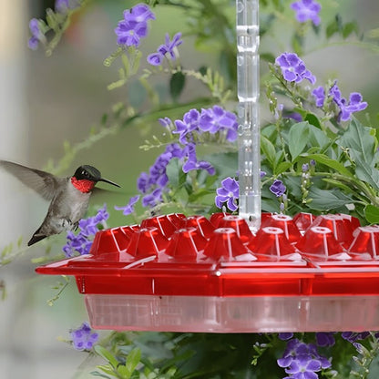 Hummingbird Feeder with Built-In Ant Moat – Outdoor Garden Bird Feeder