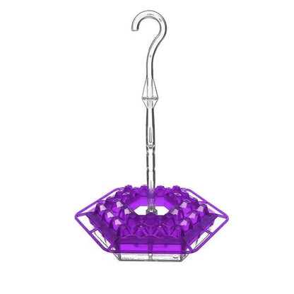 Ant-Proof Hummingbird Feeder with Hanging Perch – Outdoor Bird Feeder
