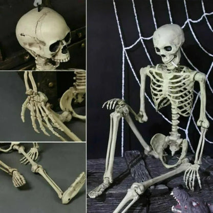 Poseable Halloween Skeleton Decoration – Creepy Full-Body Bone Prop Decor